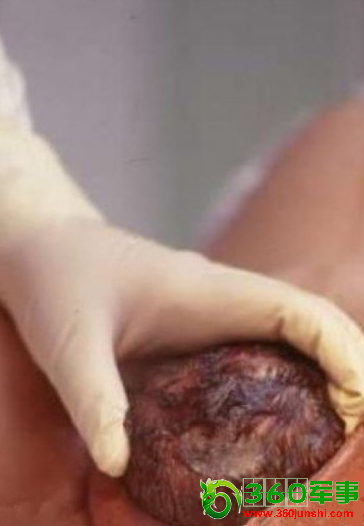 һ��ΰ��ĸ�׷�����̵���Ƭ�����������𺳡�������Ѫ���ܵľ�ͷչʾ����ң����������Ż�˭����ӱ������۰����ĸ�ס����ӡ�