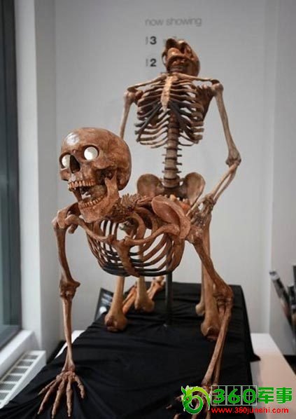 ���ͼƬ�鿴��һҳ